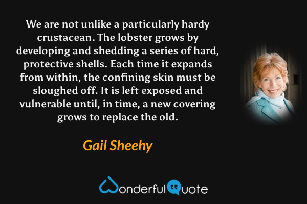 We are not unlike a particularly hardy crustacean.  The lobster grows by developing and shedding a series of hard, protective shells.  Each time it expands from within, the confining skin must be sloughed off.  It is left exposed and vulnerable until, in time, a new covering grows to replace the old. - Gail Sheehy quote.