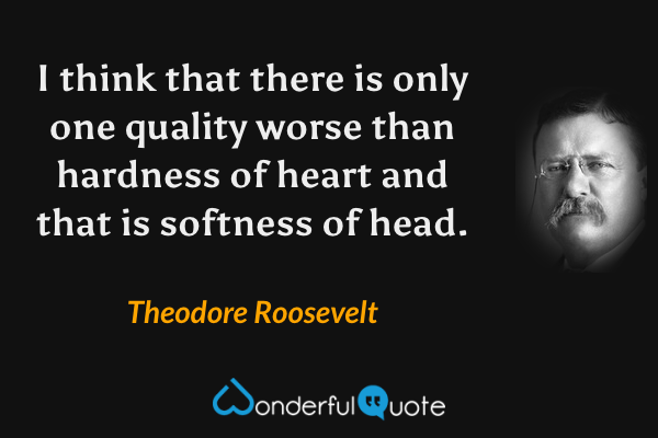 I think that there is only one quality worse than hardness of heart and that is softness of head. - Theodore Roosevelt quote.