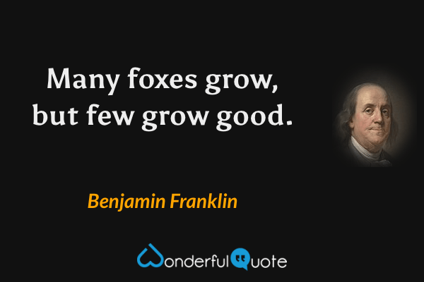 Many foxes grow, but few grow good. - Benjamin Franklin quote.