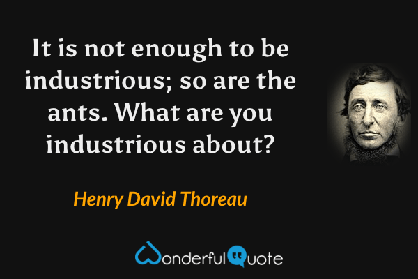 It is not enough to be industrious; so are the ants. What are you industrious about? - Henry David Thoreau quote.