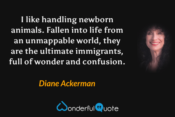 I like handling newborn animals. Fallen into life from an unmappable world, they are the ultimate immigrants, full of wonder and confusion. - Diane Ackerman quote.