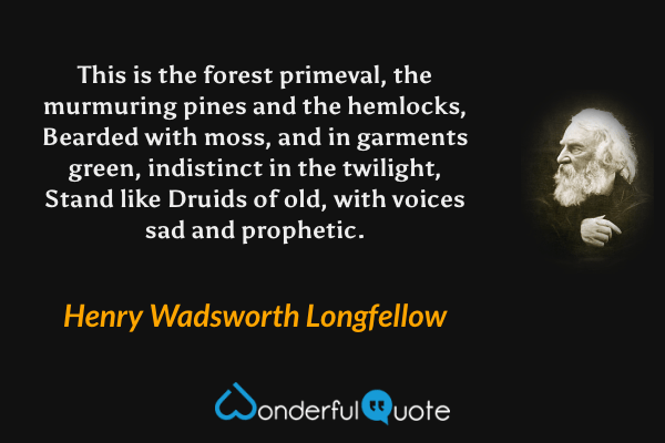 This is the forest primeval, the murmuring pines and the hemlocks,
Bearded with moss, and in garments green, indistinct in the twilight,
Stand like Druids of old, with voices sad and prophetic. - Henry Wadsworth Longfellow quote.