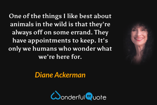One of the things I like best about animals in the wild is that they're always off on some errand. They have appointments to keep. It's only we humans who wonder what we're here for. - Diane Ackerman quote.