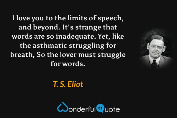 I love you to the limits of speech, and beyond.
It's strange that words are so inadequate.
Yet, like the asthmatic struggling for breath,
So the lover must struggle for words. - T. S. Eliot quote.