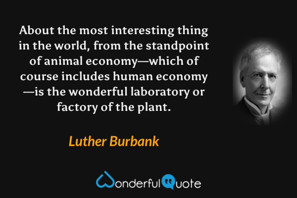 About the most interesting thing in the world, from the standpoint of animal economy—which of course includes human economy—is the wonderful laboratory or factory of the plant. - Luther Burbank quote.