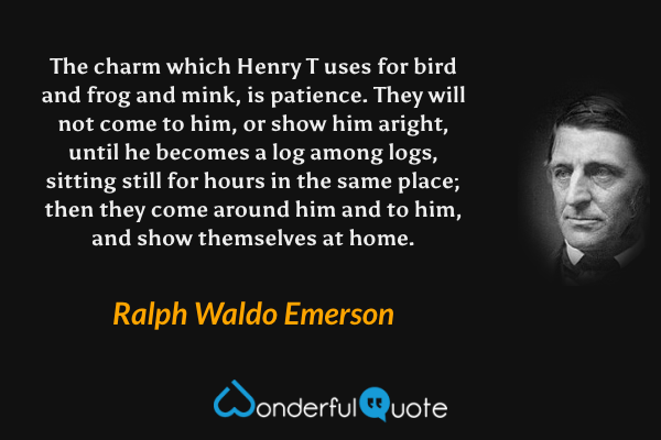 The charm which Henry T uses for bird and frog and mink, is patience.  They will not come to him, or show him aright, until he becomes a log among logs, sitting still for hours in the same place; then they come around him and to him, and show themselves at home. - Ralph Waldo Emerson quote.