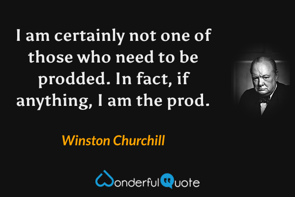 I am certainly not one of those who need to be prodded. In fact, if anything, I am the prod. - Winston Churchill quote.