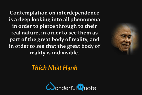 Contemplation on interdependence is a deep looking into all phenomena in order to pierce through to their real nature, in order to see them as part of the great body of reality, and in order to see that the great body of reality is indivisible. - Thích Nhất Hạnh quote.