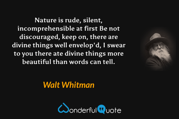 Nature is rude, silent, incomprehensible at first
Be not discouraged, keep on, there are divine things well envelop'd,
I swear to you there ate divine things more beautiful than words can tell. - Walt Whitman quote.