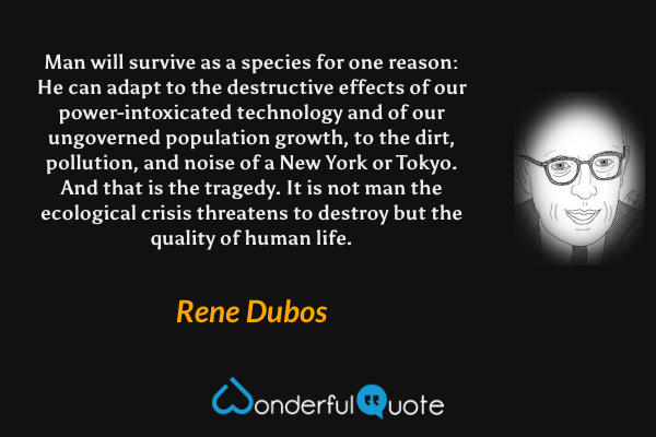 Man will survive as a species for one reason: He can adapt to the destructive effects of our power-intoxicated technology and of our ungoverned population growth, to the dirt, pollution, and noise of a New York or Tokyo. And that is the tragedy. It is not man the ecological crisis threatens to destroy but the quality of human life. - Rene Dubos quote.