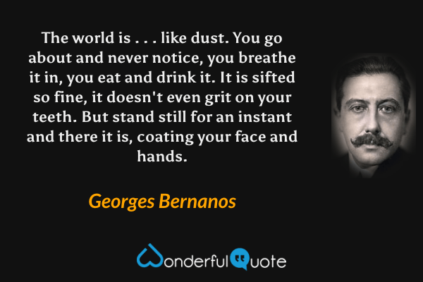 The world is  . . . like dust.  You go about and never notice, you breathe it in, you eat and drink it.  It is sifted so fine, it doesn't even grit on your teeth.  But stand still for an instant and there it is, coating your face and hands. - Georges Bernanos quote.