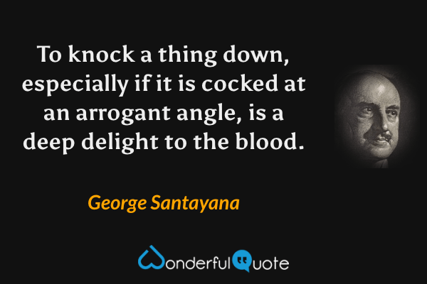 To knock a thing down, especially if it is cocked at an arrogant angle, is a deep delight to the blood. - George Santayana quote.