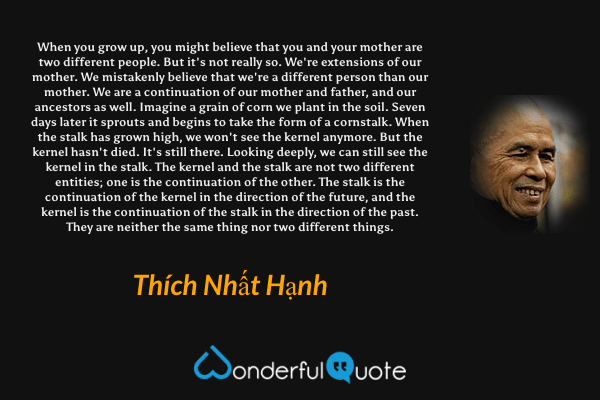 When you grow up, you might believe that you and your mother are two different people. But it's not really so. We're extensions of our mother. We mistakenly believe that we're a different person than our mother. We are a continuation of our mother and father, and our ancestors as well. Imagine a grain of corn we plant in the soil. Seven days later it sprouts and begins to take the form of a cornstalk. When the stalk has grown high, we won't see the kernel anymore. But the kernel hasn't died. It's still there. Looking deeply, we can still see the kernel in the stalk. The kernel and the stalk are not two different entities; one is the continuation of the other. The stalk is the continuation of the kernel in the direction of the future, and the kernel is the continuation of the stalk in the direction of the past. They are neither the same thing nor two different things. - Thích Nhất Hạnh quote.
