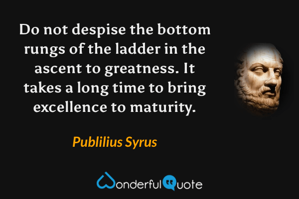 Do not despise the bottom rungs of the ladder in the ascent to greatness. It takes a long time to bring excellence to maturity. - Publilius Syrus quote.
