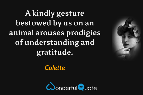 A kindly gesture bestowed by us on an animal arouses prodigies of understanding and gratitude. - Colette quote.