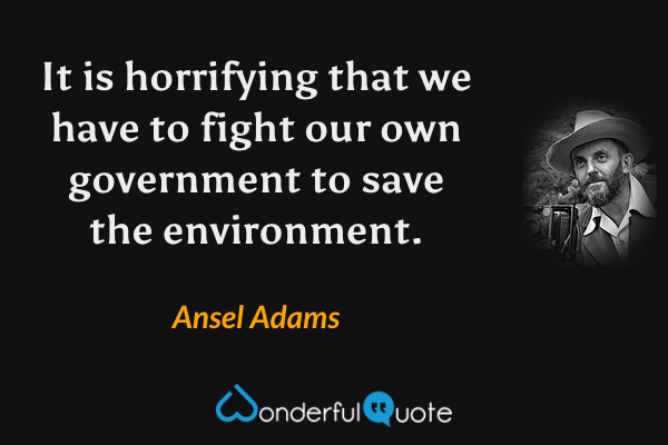 It is horrifying that we have to fight our own government to save the environment. - Ansel Adams quote.