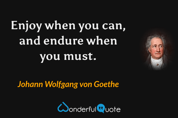 Enjoy when you can, and endure when you must. - Johann Wolfgang von Goethe quote.