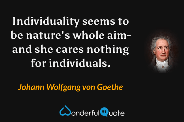 Individuality seems to be nature's whole aim-and she cares nothing for individuals. - Johann Wolfgang von Goethe quote.
