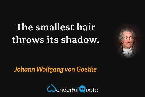 The smallest hair throws its shadow. - Johann Wolfgang von Goethe quote.
