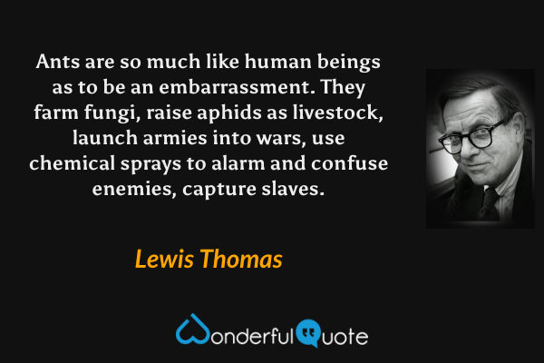 Ants are so much like human beings as to be an embarrassment.  They farm fungi, raise aphids as livestock, launch armies into wars, use chemical sprays to alarm and confuse enemies, capture slaves. - Lewis Thomas quote.