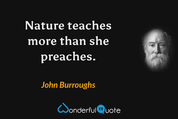 Nature teaches more than she preaches. - John Burroughs quote.