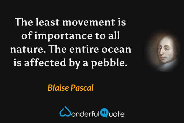 The least movement is of importance to all nature. The entire ocean is affected by a pebble. - Blaise Pascal quote.