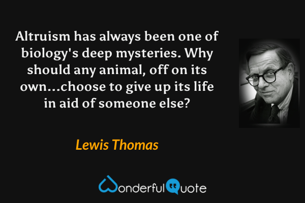 Altruism has always been one of biology's deep mysteries.  Why should any animal, off on its own...choose to give up its life in aid of someone else? - Lewis Thomas quote.