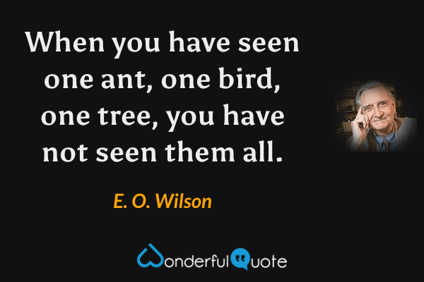 When you have seen one ant, one bird, one tree, you have not seen them all. - E. O. Wilson quote.