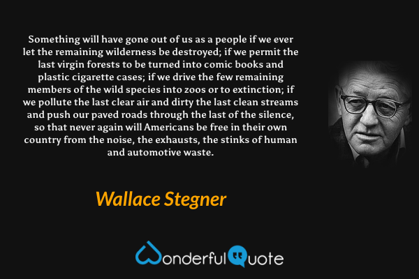 Something will have gone out of us as a people if we ever let the remaining wilderness be destroyed; if we permit the last virgin forests to be turned into comic books and plastic cigarette cases; if we drive the few remaining members of the wild species into zoos or to extinction; if we pollute the last clear air and dirty the last clean streams and push our paved roads through the last of the silence, so that never again will Americans be free in their own country from the noise, the exhausts, the stinks of human and automotive waste. - Wallace Stegner quote.