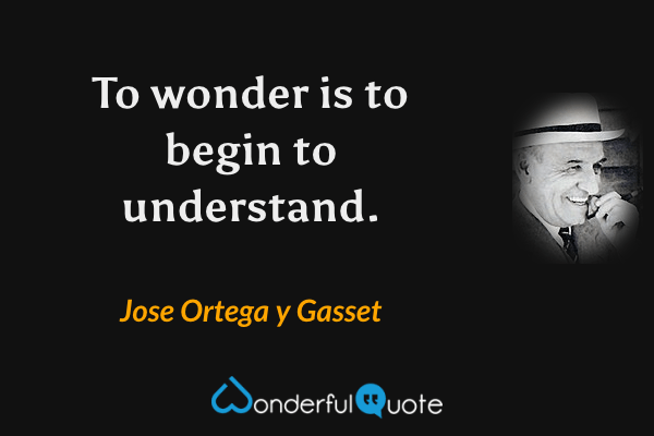 To wonder is to begin to understand. - Jose Ortega y Gasset quote.