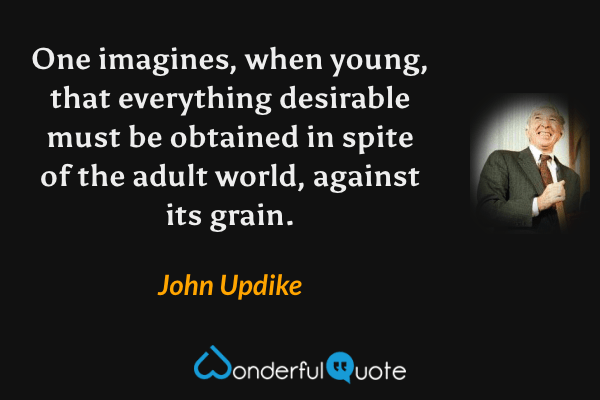 One imagines, when young, that everything desirable must be obtained in spite of the adult world, against its grain. - John Updike quote.