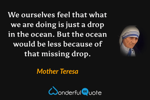 We ourselves feel that what we are doing is just a drop in the ocean. But the ocean would be less because of that missing drop. - Mother Teresa quote.
