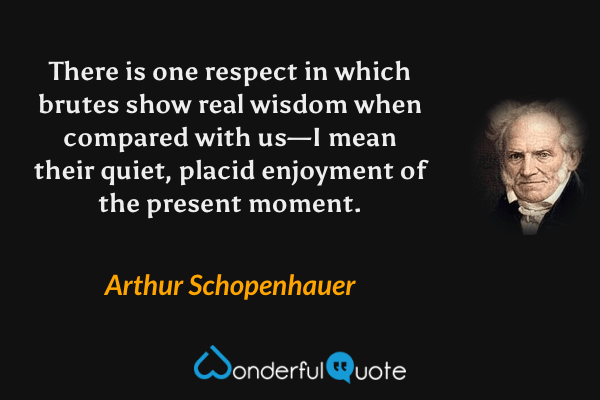There is one respect in which brutes show real wisdom when compared with us—I mean their quiet, placid enjoyment of the present moment. - Arthur Schopenhauer quote.