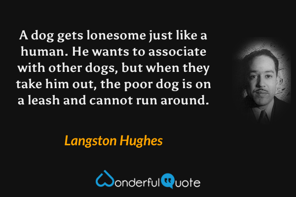 A dog gets lonesome just like a human. He wants to associate with other dogs, but when they take him out, the poor dog is on a leash and cannot run around. - Langston Hughes quote.