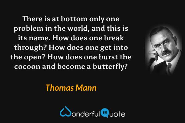 There is at bottom only one problem in the world, and this is its name. How does one break through? How does one get into the open? How does one burst the cocoon and become a butterfly? - Thomas Mann quote.
