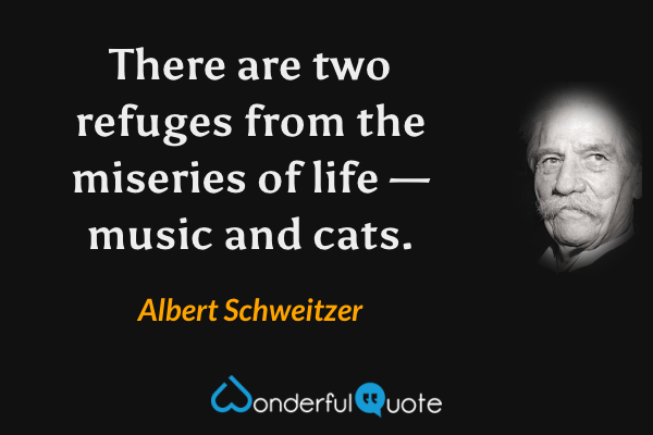 There are two refuges from the miseries of life — music and cats. - Albert Schweitzer quote.