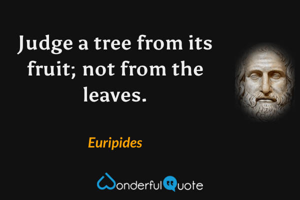 Judge a tree from its fruit; not from the leaves. - Euripides quote.