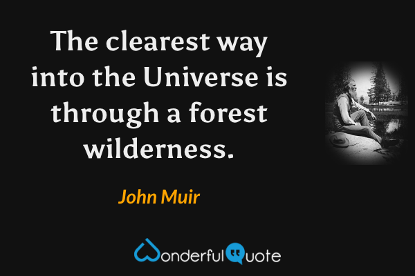 The clearest way into the Universe is through a forest wilderness. - John Muir quote.