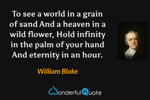 To see a world in a grain of sand
And a heaven in a wild flower,
Hold infinity in the palm of your hand
And eternity in an hour. - William Blake quote.