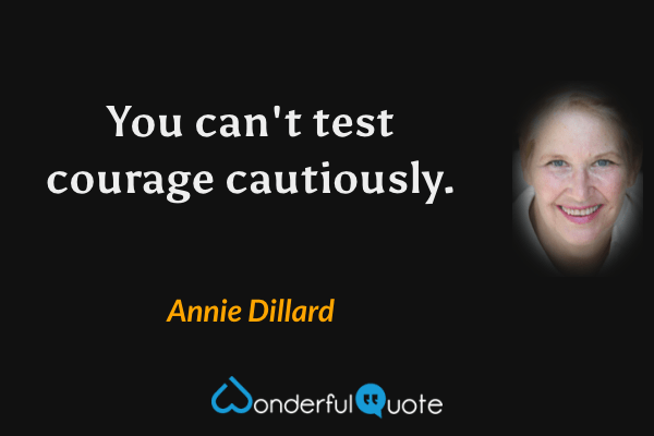 You can't test courage cautiously. - Annie Dillard quote.