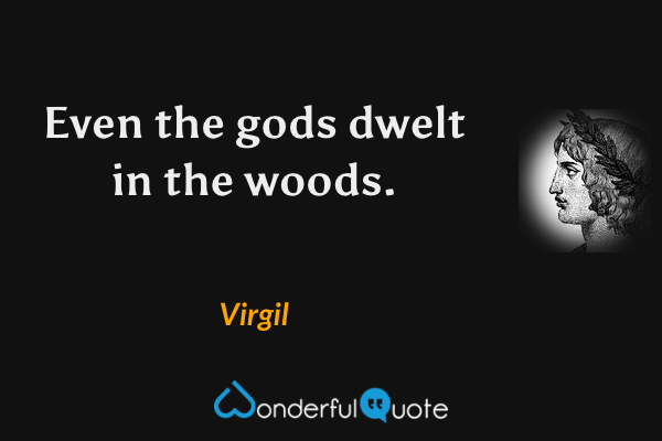 Even the gods dwelt in the woods. - Virgil quote.