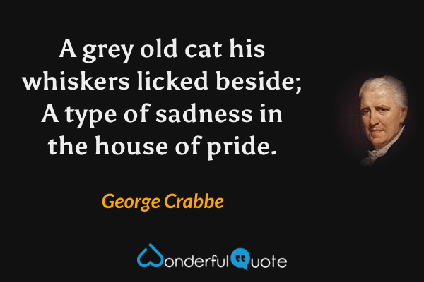 A grey old cat his whiskers licked beside;
A type of sadness in the house of pride. - George Crabbe quote.