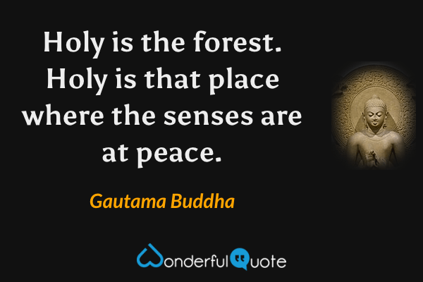 Holy is the forest. Holy is that place where the senses are at peace. - Gautama Buddha quote.