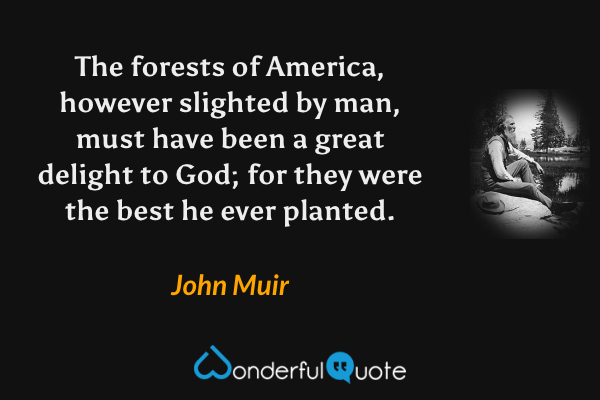 The forests of America, however slighted by man, must have been a great delight to God; for they were the best he ever planted. - John Muir quote.
