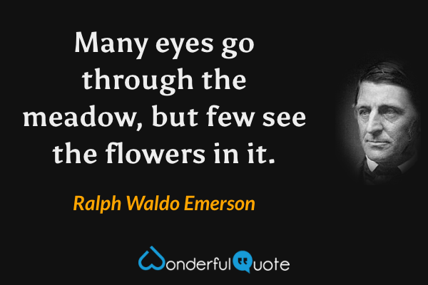 Many eyes go through the meadow, but few see the flowers in it. - Ralph Waldo Emerson quote.