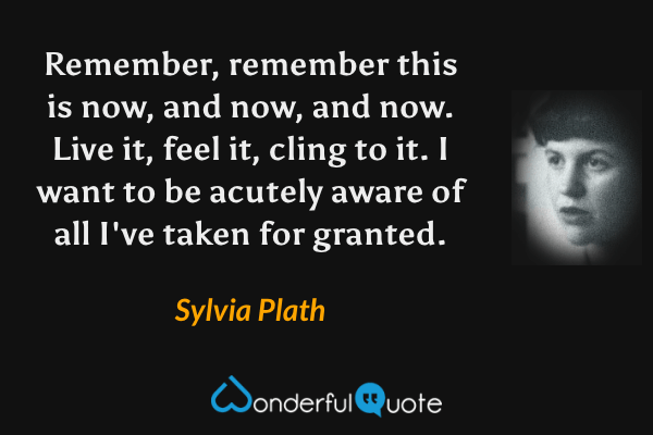 Remember, remember this is now, and now, and now. Live it, feel it, cling to it. I want to be acutely aware of all I've taken for granted. - Sylvia Plath quote.