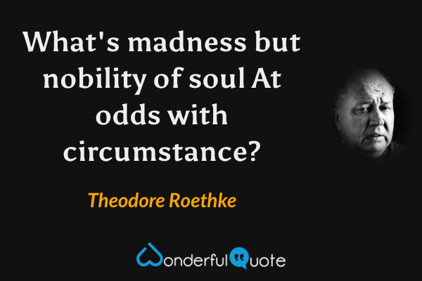 What's madness but nobility of soul
At odds with circumstance? - Theodore Roethke quote.