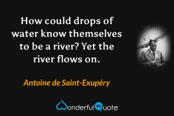 How could drops of water know themselves to be a river? Yet the river flows on. - Antoine de Saint-Exupéry quote.