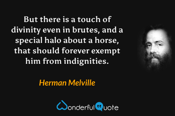 But there is a touch of divinity even in brutes, and a special halo about a horse, that should forever exempt him from indignities. - Herman Melville quote.
