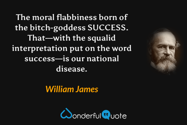 The moral flabbiness born of the bitch-goddess SUCCESS. That—with the squalid interpretation put on the word success—is our national disease. - William James quote.